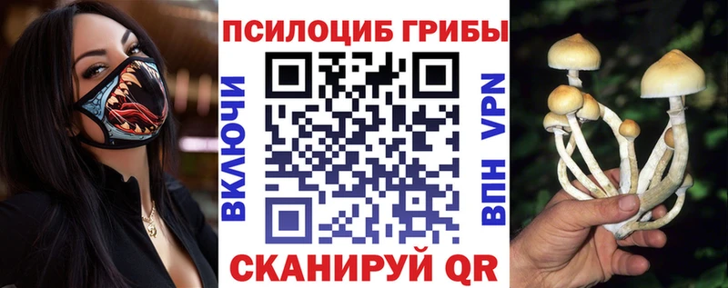 Галлюциногенные грибы ЛСД  Купить  Мончегорск 