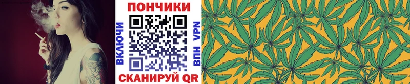 Конопля ГИДРОПОН  Купить  Мончегорск 